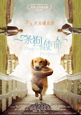 一条狗的使命 原声版